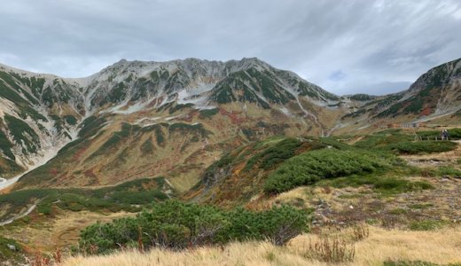 【旅レポ】立山アルペンルートでおすすめのひとりランチ