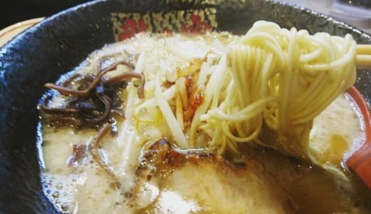 新宿「龍の家」とんこつラーメンとモツつけ麺は確かにうまかった