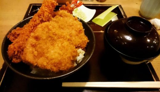 「新潟カツ丼タレカツ」神保町本店でひとりランチ！