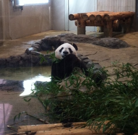 上野動物園